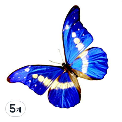 파티복닷컴 나비 웬디 타투 스티커, AC52, 5개