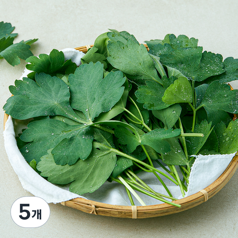 국내산 방풍나물, 150g, 5개