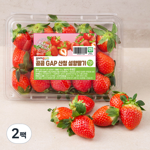 곰곰 GAP 산청 설향딸기, 750g, 2팩