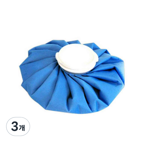 네이처스 파머 냉온 찜찔 얼음 주머니 M 22cm, 3개