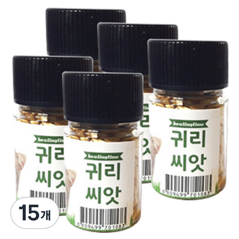 힐링타임 캣그라스 씨앗, 귀리, 15개