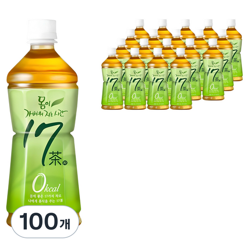 17차 몸이 가벼워지는 시간 차음료, 340ml, 100개