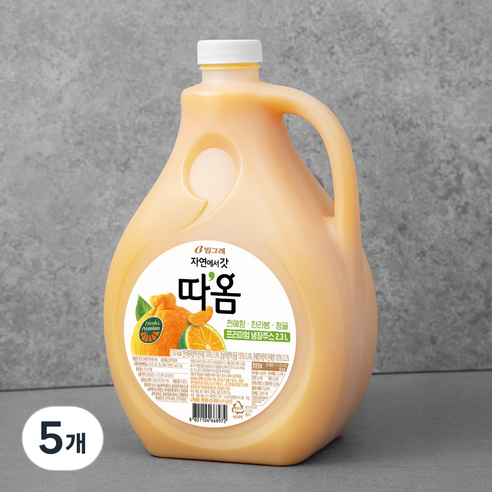 빙그레 따옴 청귤&한라봉, 2300ml, 5개
