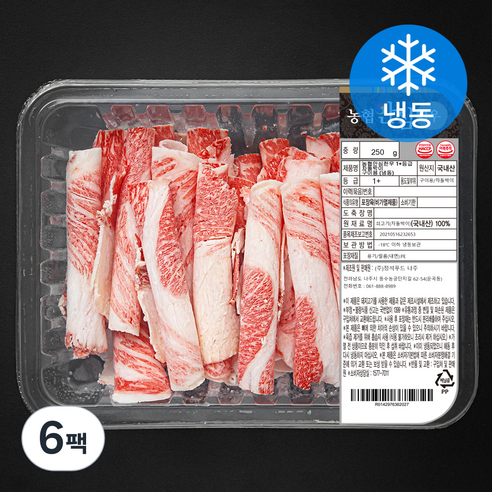 농협안심한우 차돌박이 1+등급 구이용 (냉동), 6팩, 250g
