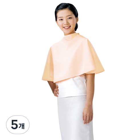 라인 포그니 드라이보 대, 오렌지 LN317, 5개