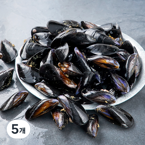 바다자리 국산 생물 홍합 (냉장), 5개, 1.5kg