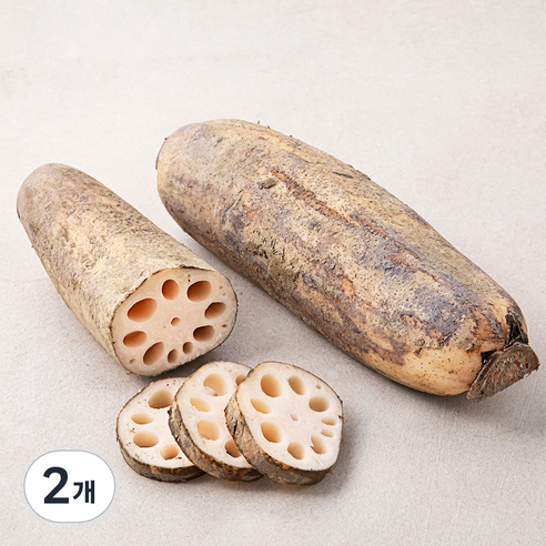 밀양 연근, 500g, 2개