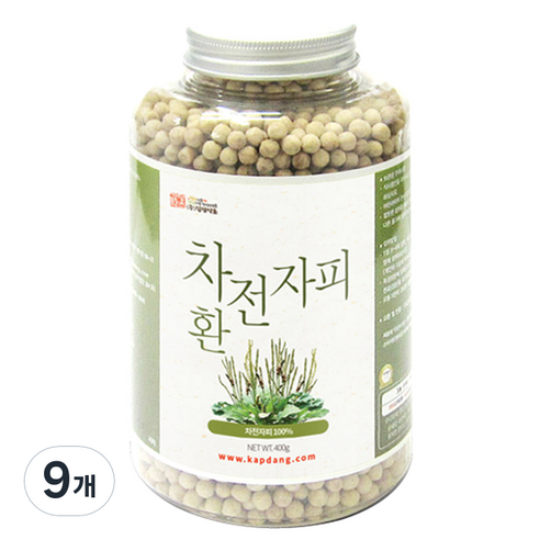 갑당약초 차전자피환, 400g, 9개