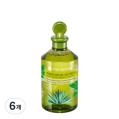 이브로쉐 모링가 헤어 식초 스칼프, 150ml, 6개
