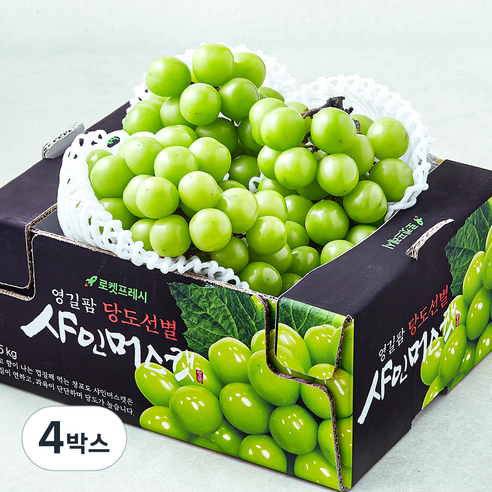 영길팜 당도선별 샤인머스캣, 4박스, 1.5kg