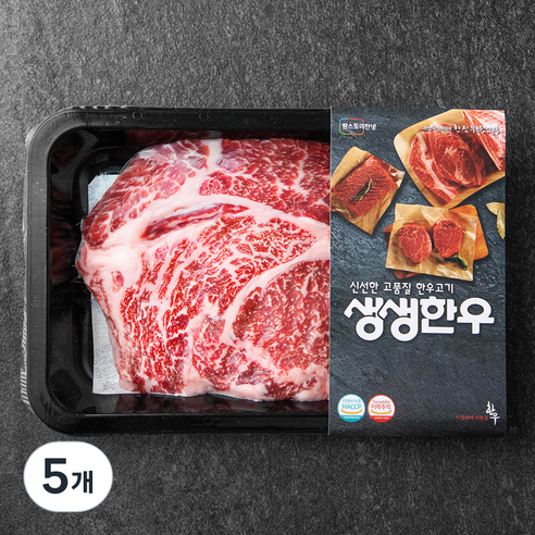 생생한우 1등급 등심 구이용 (냉장), 200g, 5개