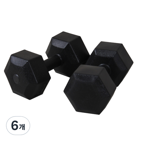 이고진 블랙육각 덤벨, 4kg, 6개