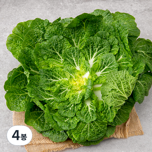 국내산 봄동, 1kg, 4봉, 1kg