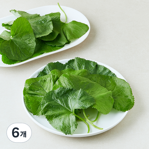 양촌 곰취, 90g, 6개