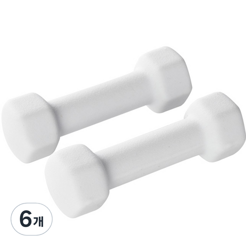 앳플리 LW 미용 아령, 1kg, 6개
