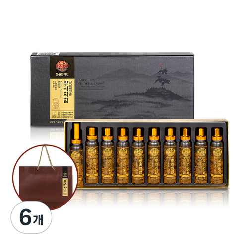 천지인 뿌리의 힘 산삼배양근 + 쇼핑백, 200ml, 6개