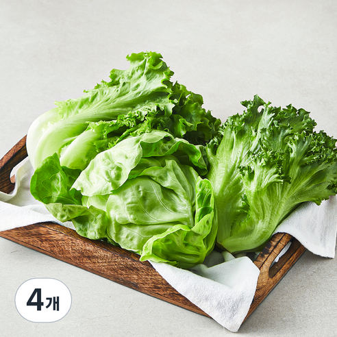 친환경 유러피안 모둠 샐러드용 채소, 300g, 1개입, 4개