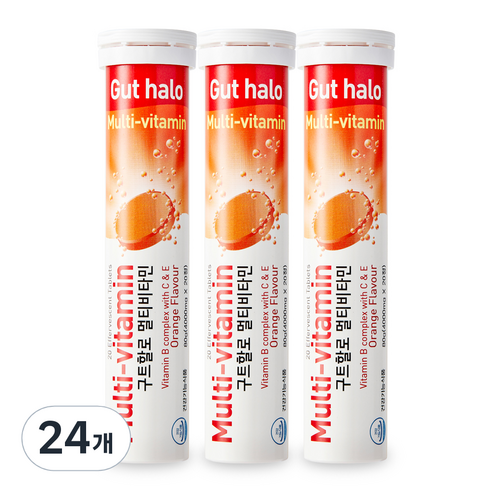 구트할로 멀티비타민 오렛지맛, 20정, 24개