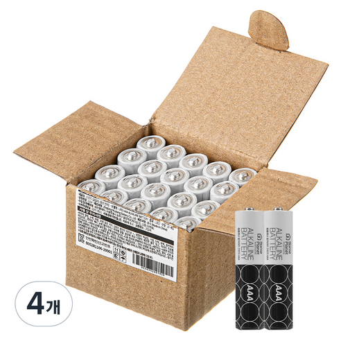 홈플래닛 알카라인 AAA건전지, 20개입, 4개