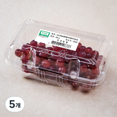 산내농협 GAP 델라웨어 포도, 200g, 5개