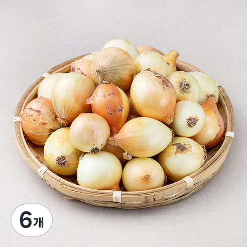 국내산 양파(장아찌용), 4kg, 6개