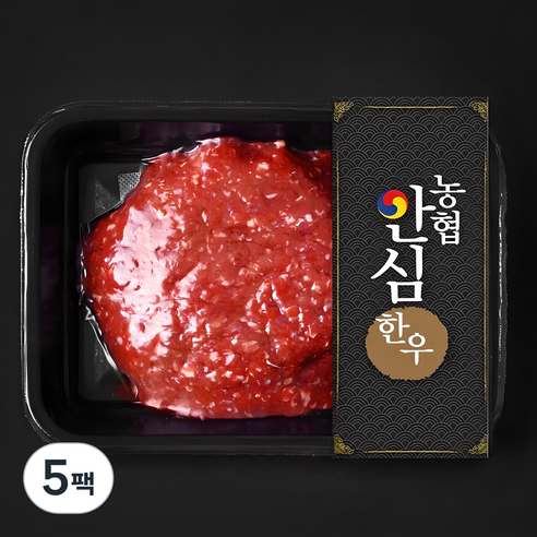 농협안심한우 1등급 다짐육 (냉장), 300g, 5팩