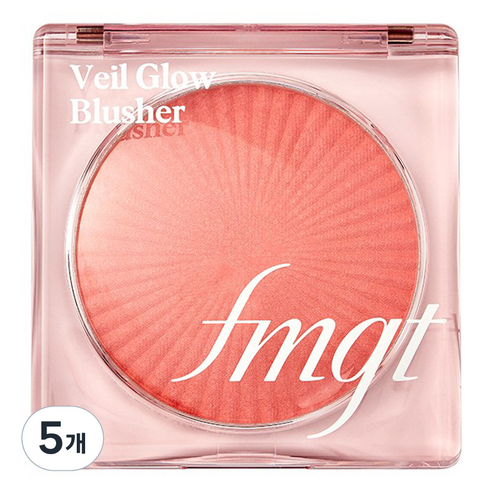 더페이스샵 fmgt 베일 글로우 블러셔, 01 무드 포 핑크, 5개