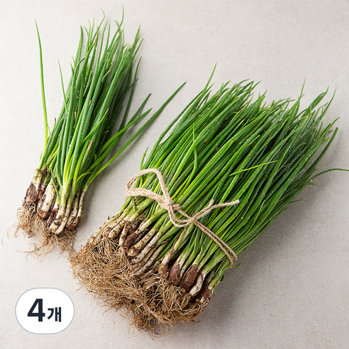 국내산 흙쪽파, 1kg, 4개
