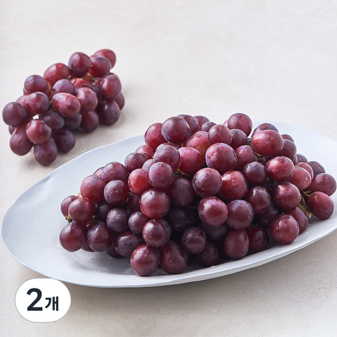 수플린 칠레산 적포도 잭살룻, 2개, 1.5kg