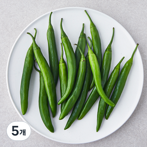 국내산 롱그린 풋고추, 200g, 5개