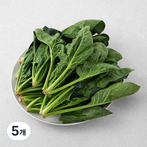 국내산 시금치, 600g, 5개