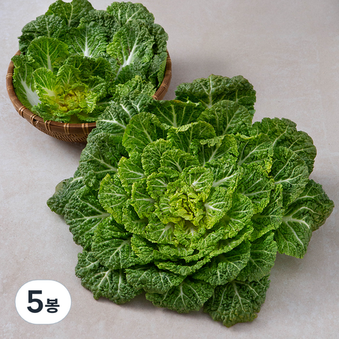 국내산 봄동, 500g, 5봉, 500g