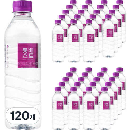 몽베스트 생수, 500ml, 120개