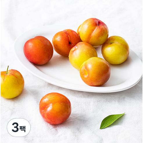 새벽경매 새콤달콤 하우스 꼬마자두, 300g(7~9입), 3팩