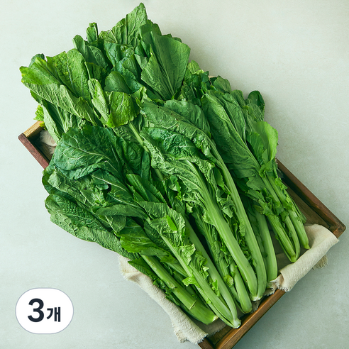 국내산 돌산갓, 2kg, 3개