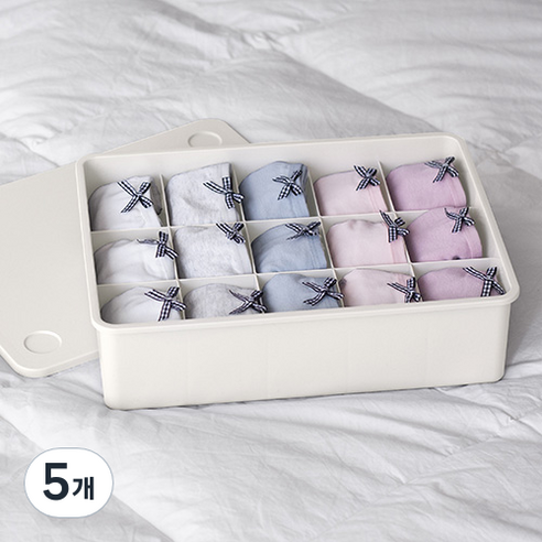 이즈리빙 칸칸칸 속옷정리함 15칸, 아이보리(아이보리뚜껑), 5개