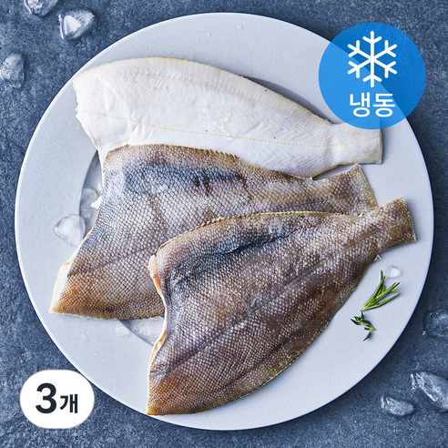 국내산 송도씨 손질 가자미 (냉동), 3개, 450g(3미)