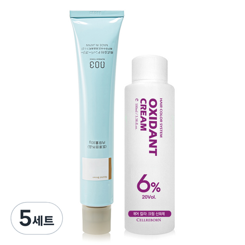 넘버쓰리 리크로마 패션 그레이 염색제 + 산화제 100ml, 6/0N, 5세트