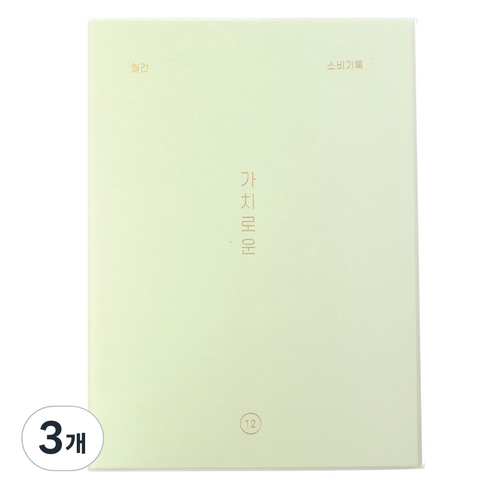 페이퍼리안 가치로운 월간 가계부 만년형, 3개, 03 페일민트