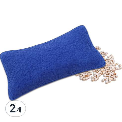 편백아트 프리미엄 편백 큐브칩 베이직 베개, 진파랑(베개커버), 랜덤발송(속커버), 2개
