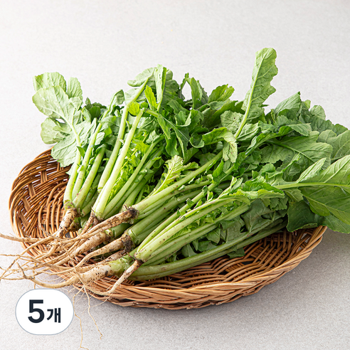국내산 열무, 500g, 5개