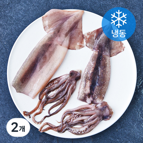 깨끗한 손질 통오징어 (냉동), 270g(2미), 2개