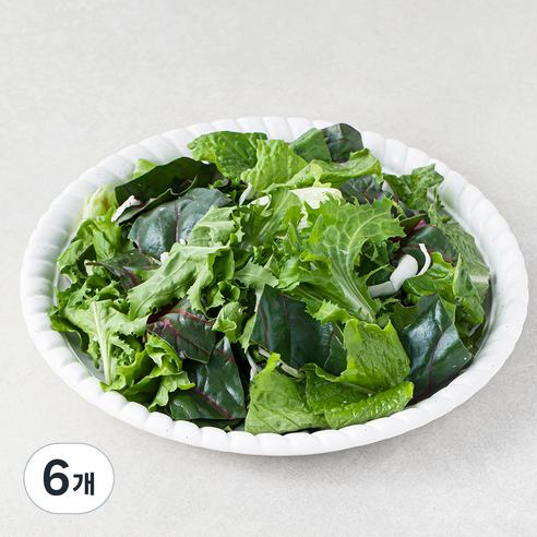 팜에이트 레인보우믹스 그린, 500g, 6개