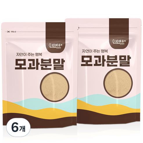모과 분말, 300g, 1개입, 6개
