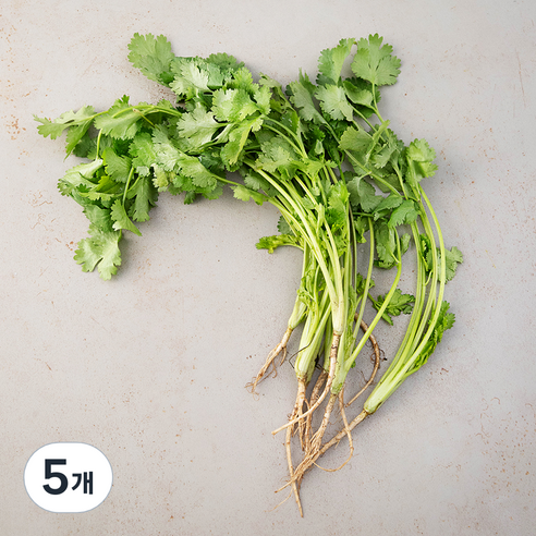 국내산 고수, 50g, 5개