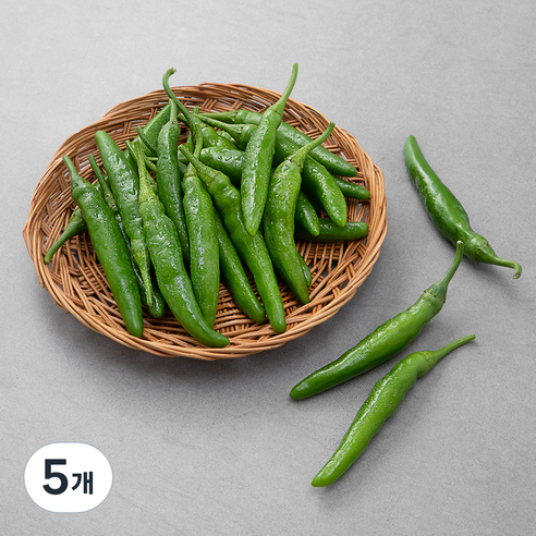 친환경 청양고추, 300g, 5개