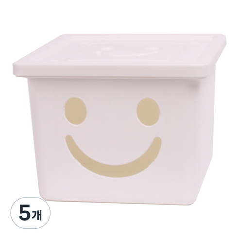 보노하우스 미니해피박스, 화이트, 5개