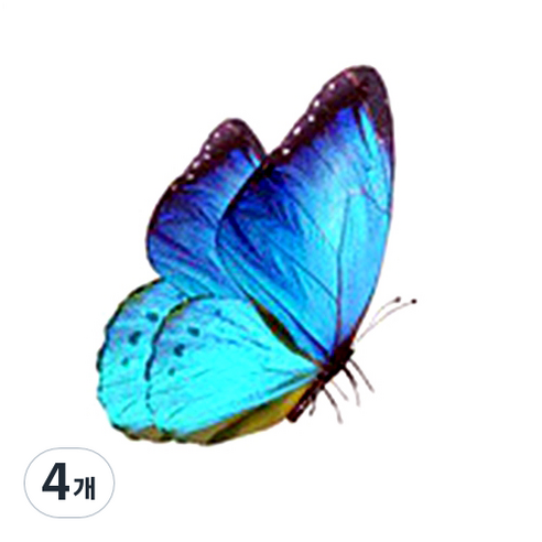 파티복닷컴 나비 웬디 타투 스티커, AC90, 4개