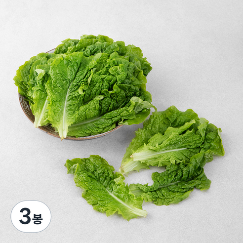곰곰 국내산 GAP 청상추, 300g, 3봉