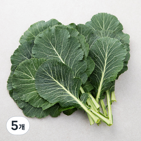 GAP 케일, 400g, 5개